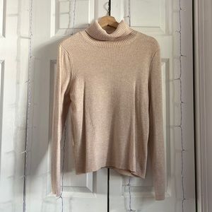 Target Ribbed Knit Turtleneck Sweater
